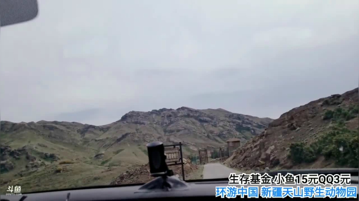 【2021-06-03 16点场】行者记行：新疆野生动物园到了！