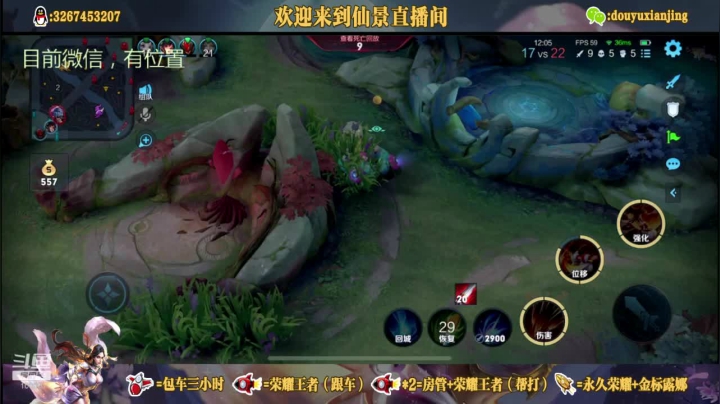 帅的迷人的仙景哥