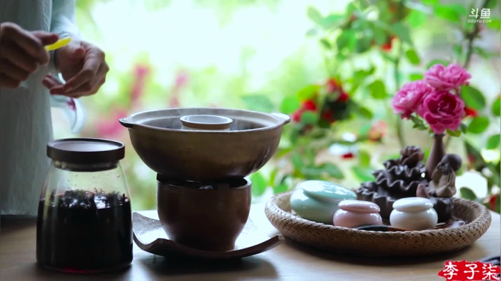 【美食】李子柒liziqi的精彩时刻 20210606 06点场