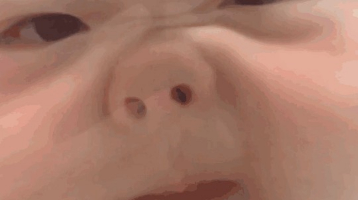 直播回放