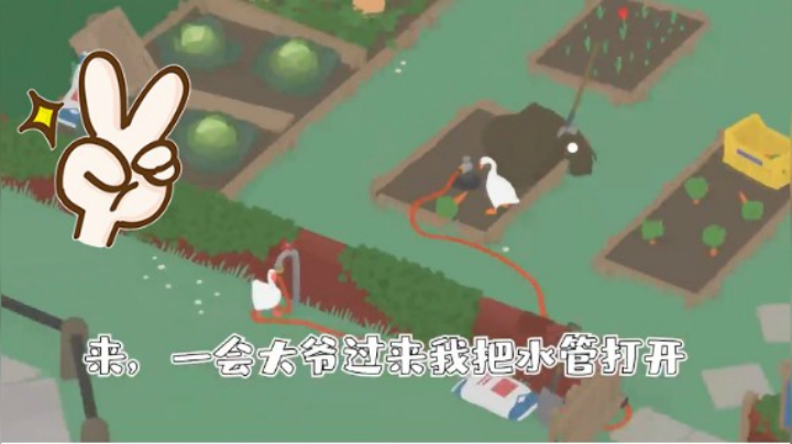 大鹅模拟器  和肉丝一起演示 双人模式