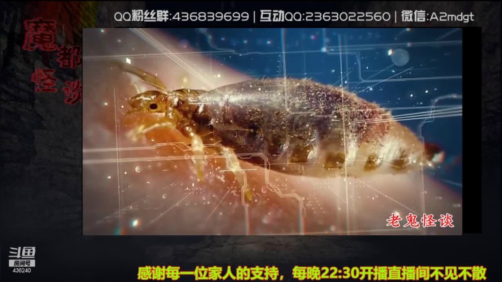 【2021-06-06 10点场】摆渡人老鬼：深夜奇谈我敢讲你敢听吗