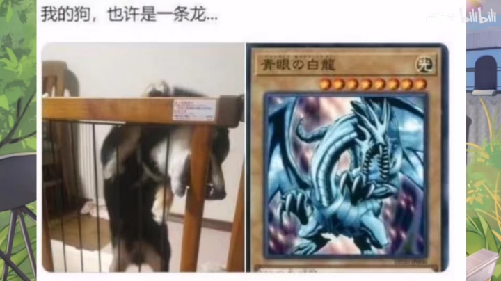 请叫我欧皇！！！！