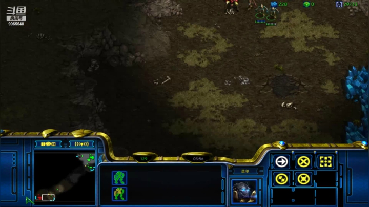 【星际争霸】pvp慢手的节奏