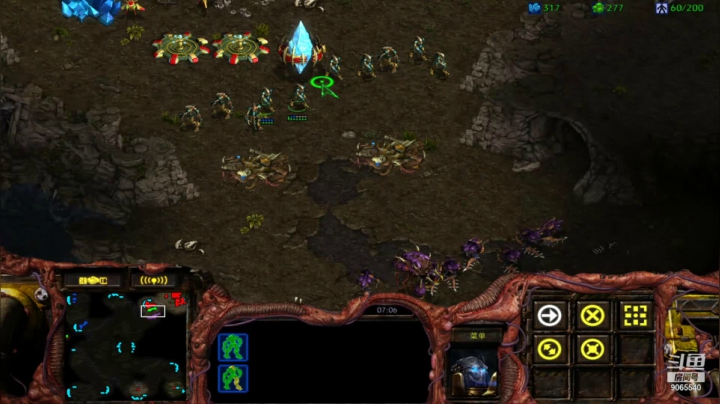 【星际争霸】1打1造pvz 龙骑搞死z