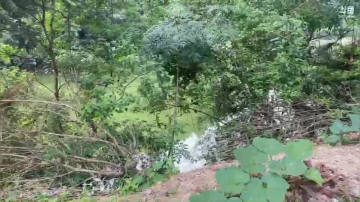 【2021-06-06 16点场】魅力生活i：今天甲鱼钓