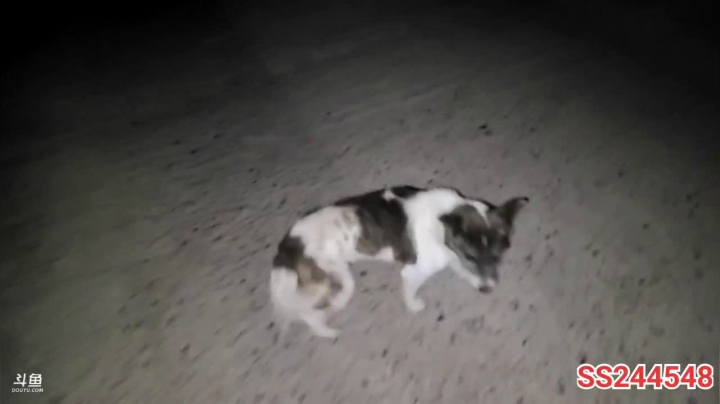 【2021-06-06 20点场】叶子户外：双倍经验三倍上限，冲啊