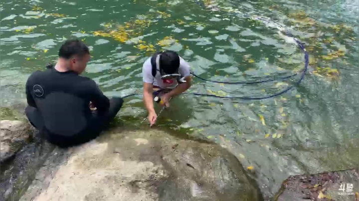 【2021-06-07 13点场】魅力生活i：水磨房摸鱼美食