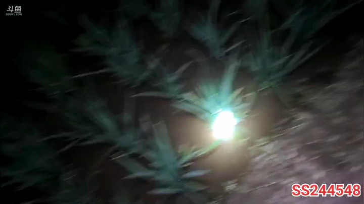 【2021-06-06 22点场】叶子户外：双倍经验三倍上限，冲啊