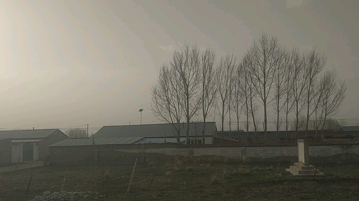 阿諺龑发布了一个斗鱼视频2021-06-07