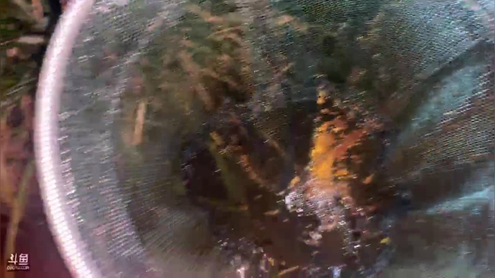 【2021-06-07 20点场】魅力生活i：山沟抓大河虾