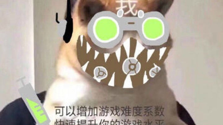 快乐白给