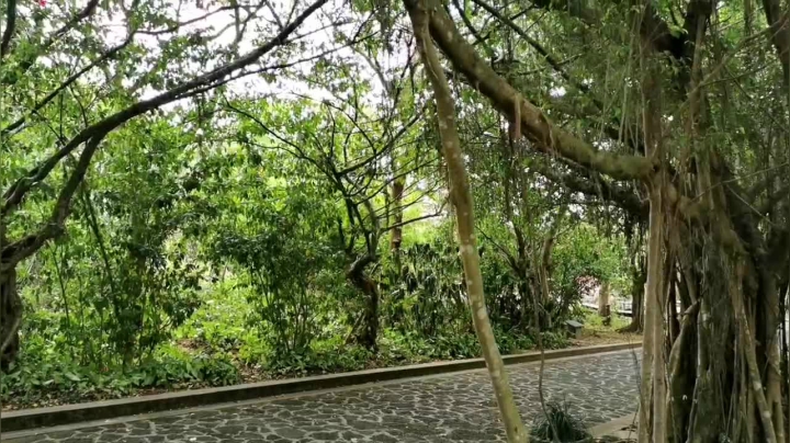 【2021-06-05 14点场】在线天文：海口火山公园