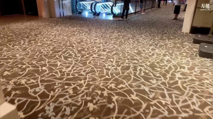 【2021-06-05 18点场】轰轰仔：轰轰：给老虎打了一拳 休养半天