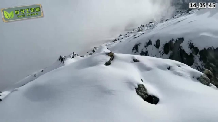 【2021-06-07 02点场】叶子户外：双倍经验三倍上限，冲啊