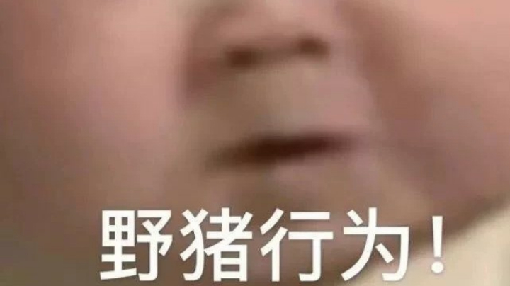 一条战豹引发的血案