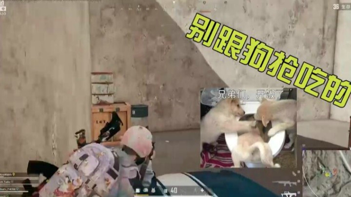 马哥的古惑仔日常