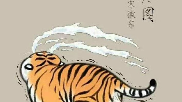 直播回看