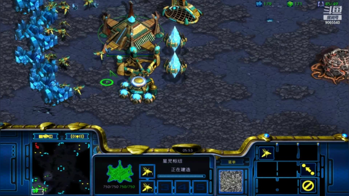 【星际争霸】天梯图pvp前期我亏了