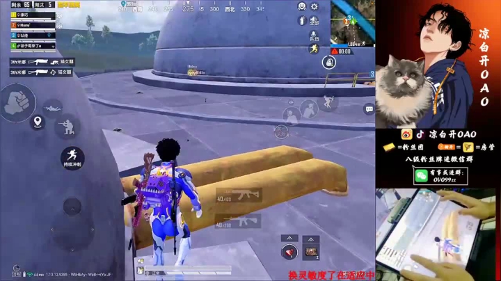 9杀吃鸡，轻松加愉快，顺便练练枪