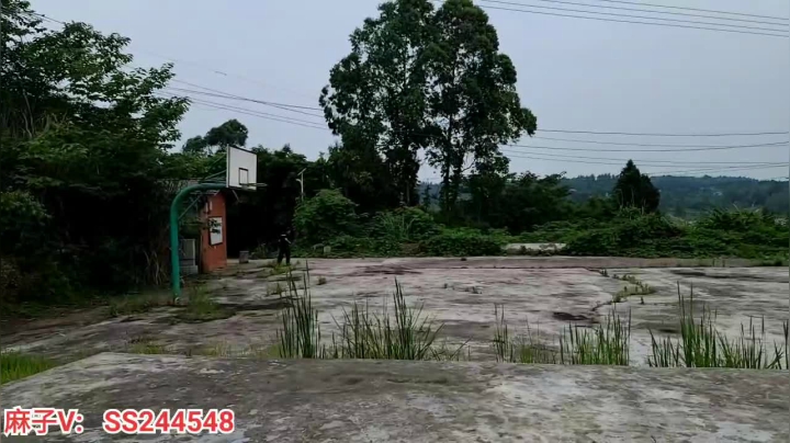 【2021-06-08 13点场】叶子户外：基地的生活