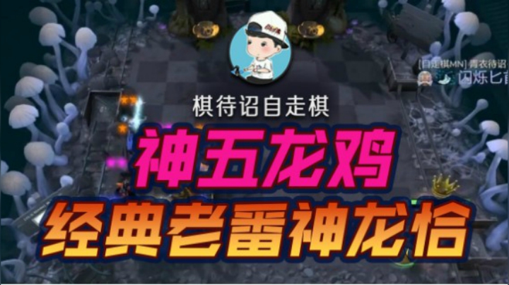 一发牌就知道是老神龙了