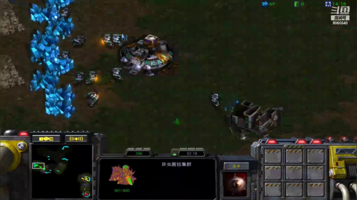 tz vs 2z  mm组合一波带走