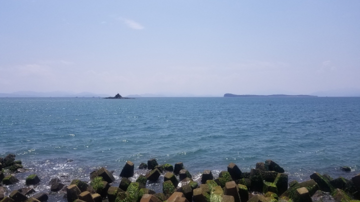 6.9太极拳培训练习