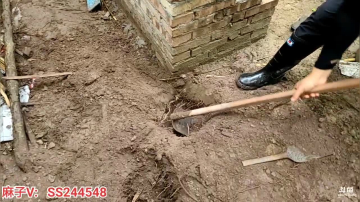 【2021-06-09 15点场】叶子户外：四川南充基地的生活