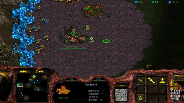 【星际争霸】pz vs pz 对手速飞龙