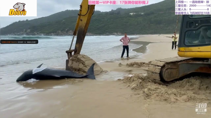【2021-06-09 00点场】迷人的卿姐姐i：英雄杀最强预言家~~~