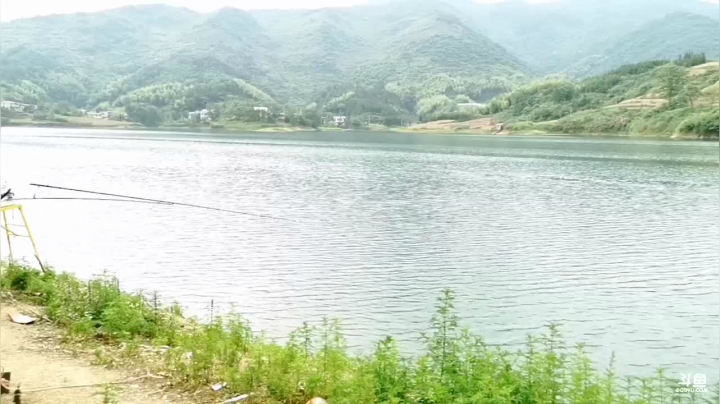 【2021-06-09 15点场】中华户外钓鱼：新钓点。盘巨物