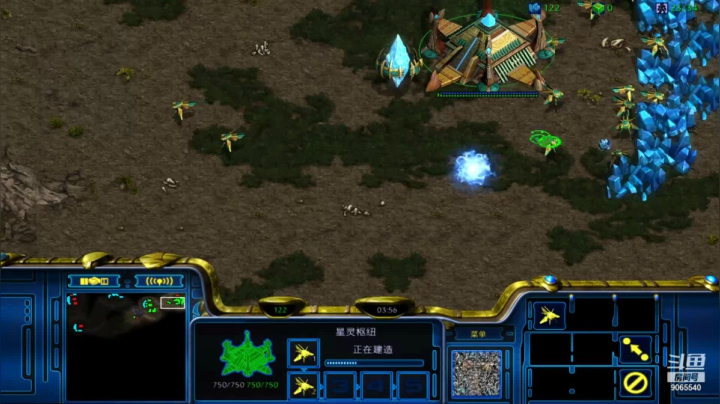 【星际争霸】pvz感觉这个z不太会玩呀