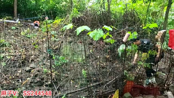 【2021-06-09 13点场】叶子户外：四川南充基地的生活