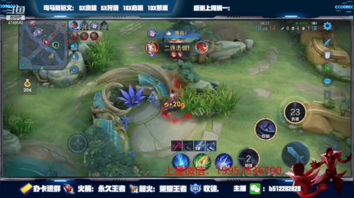 【2021-06-09 20点场】环斐丶蓝羽：国一司马懿，给粉丝上国服