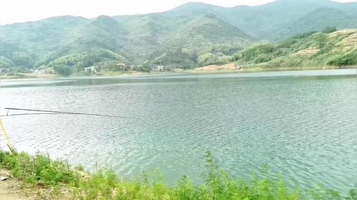 【2021-06-09 16点场】中华户外钓鱼：新钓点。盘巨物