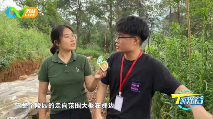 第四十八周T游之龙泉山遗址公园0609