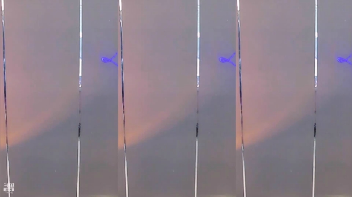 【奶优米呀 舞蹈】06-09 21:44