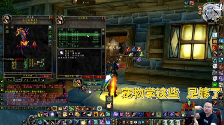 魔兽TBC怀旧服：满级宠物怎么加点？小伙讲得也太详细了吧！