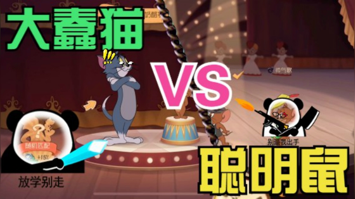 一只猫和一只鼠的故事开始了