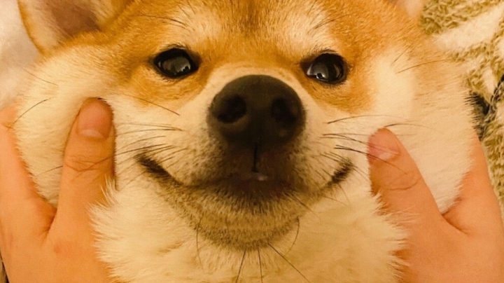 小菜鸟打游戏第二期