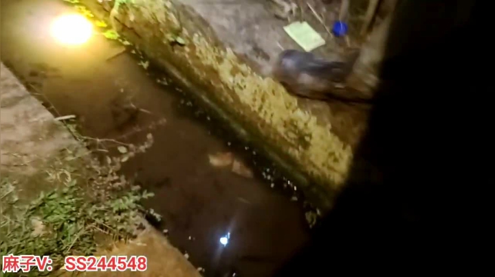 【2021-06-10 21点场】叶子户外：基地的快乐生活