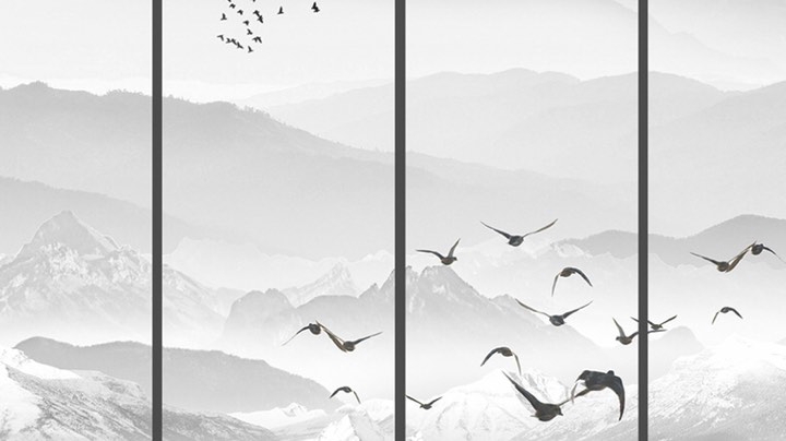 重生之失忆的最强王者！！！