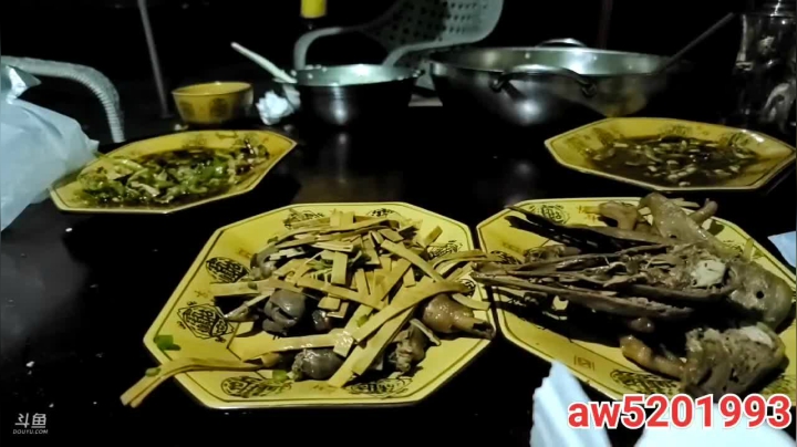 【2021-06-11 19点场】叶子户外：基地的快乐生活