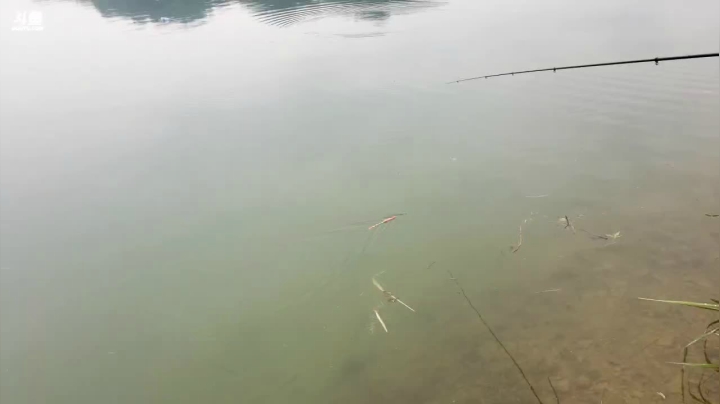 【2021-06-11 15点场】魅力生活i：坐等风大师给水库上一课