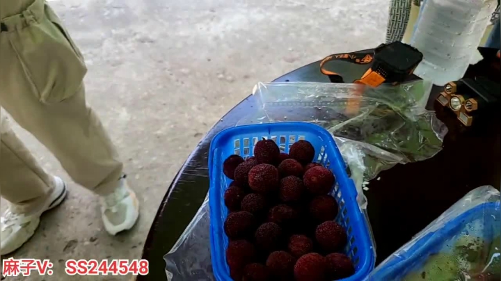 【2021-06-11 13点场】叶子户外：基地的快乐生活