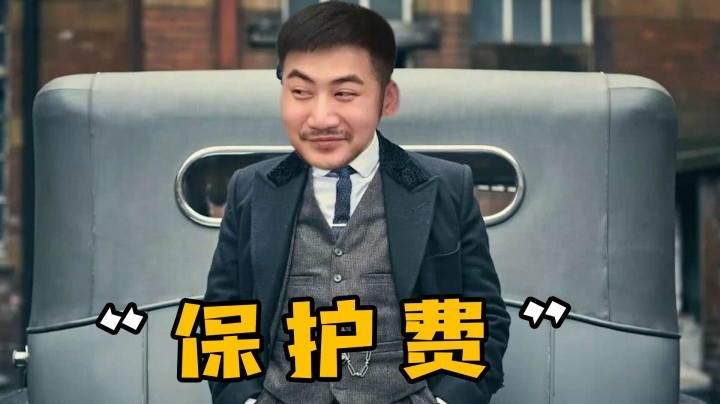 【茄子】保  护  费