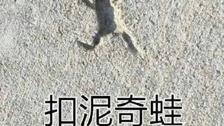 悲催。﹏。上分路