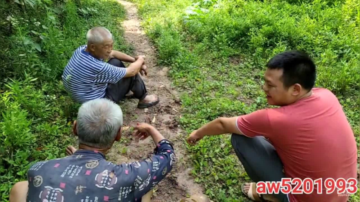 【2021-06-11 15点场】叶子户外：基地的快乐生活