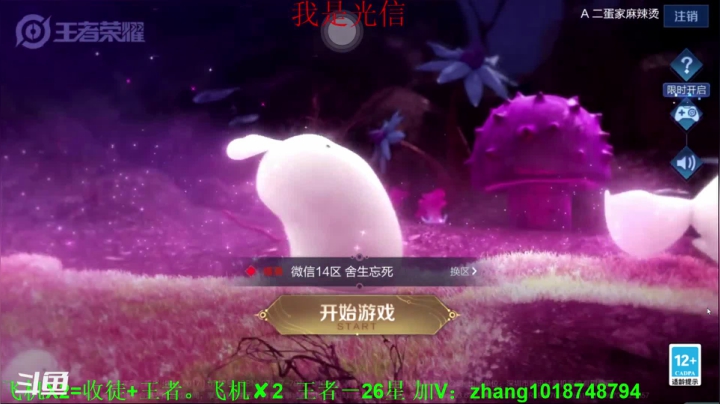 【2021-06-10 23点场】烟花Q烟花：985的李信天花板